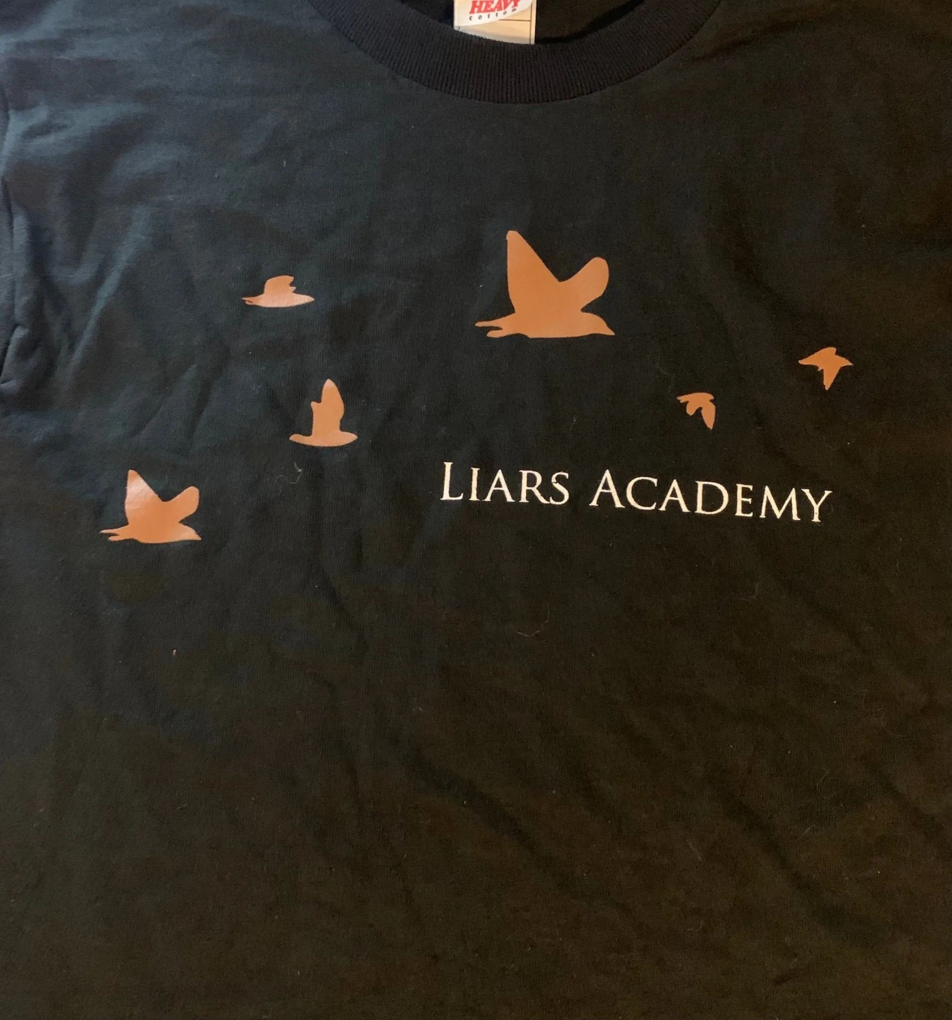 Liars Academy: Birds (Demons) T-Shirt (S or M)