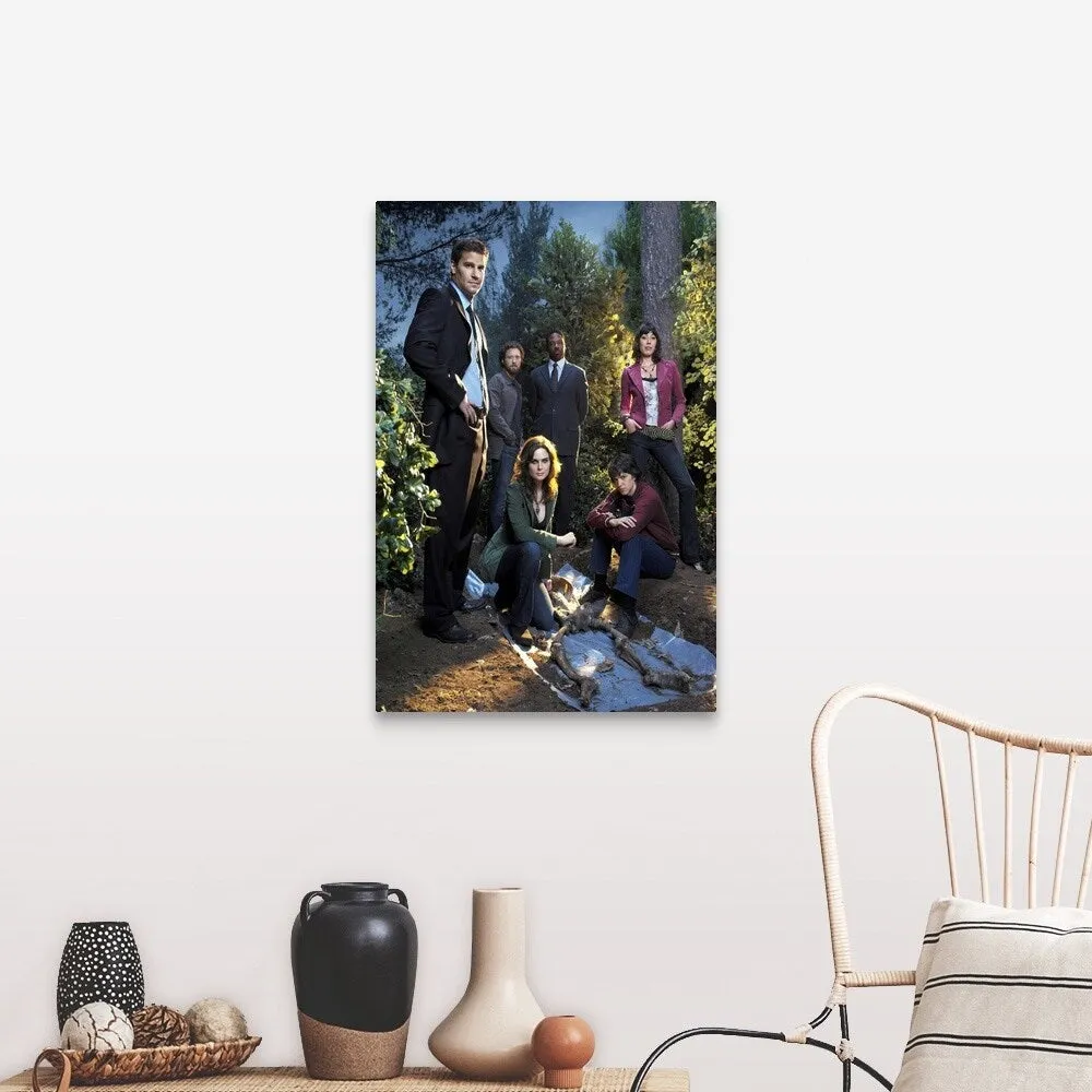 "Bones (TV) (2005)" Canvas Wall Art